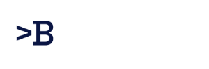 VB Logo white